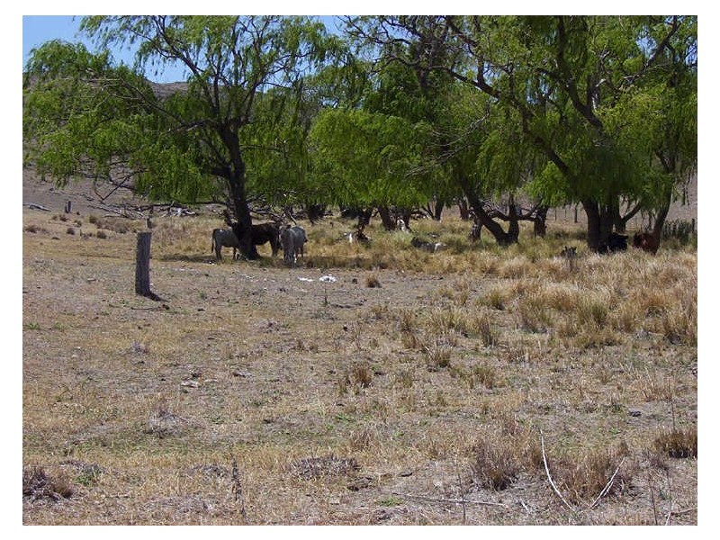 Ptn 116 Koala Lane, Boorowa NSW 2586