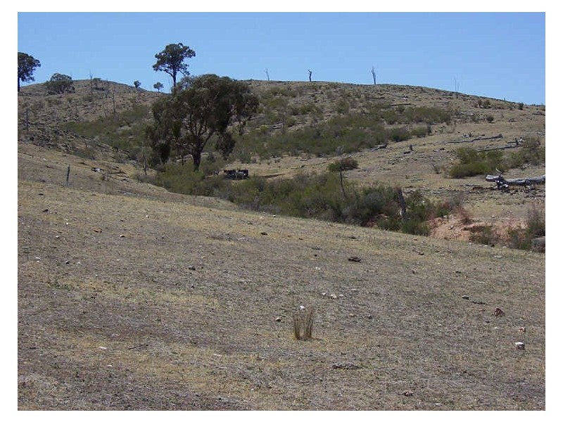 Ptn 116 Koala Lane, Boorowa NSW 2586