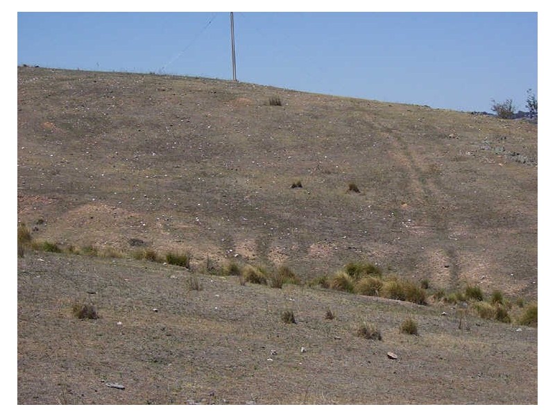 Ptn 116 Koala Lane, Boorowa NSW 2586