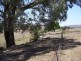 Ptn 116 Koala Lane, Boorowa NSW 2586