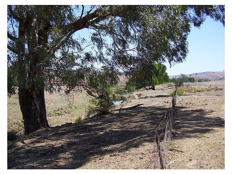 Ptn 116 Koala Lane, Boorowa NSW 2586