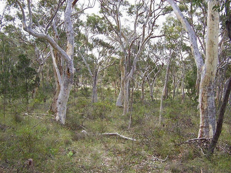 30 Banksia Avenue, Tallong Park Estate, Tallong NSW 2579