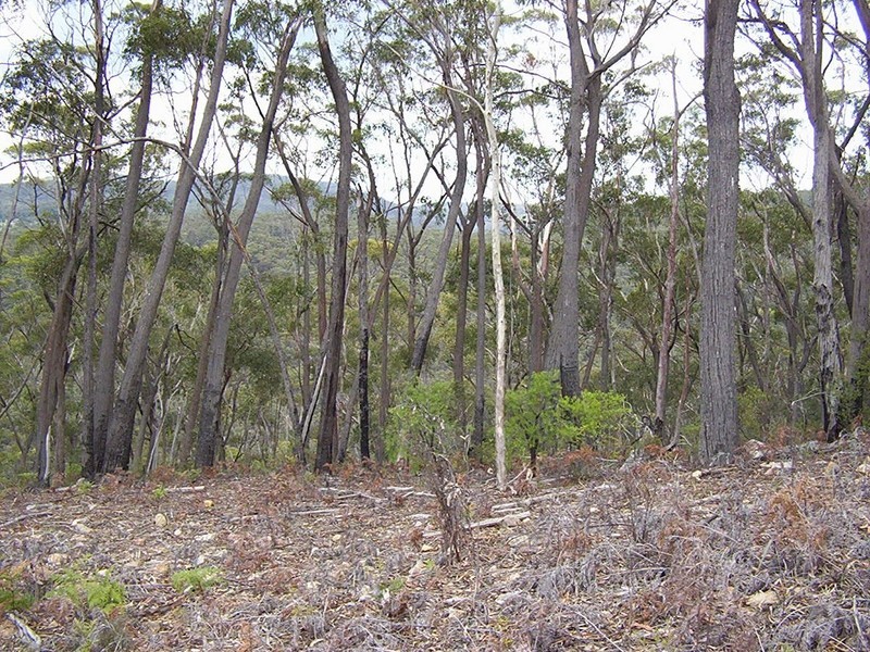 Mares Forest Road, Taralga NSW 2580