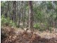 Mares Forest Road, Taralga NSW 2580