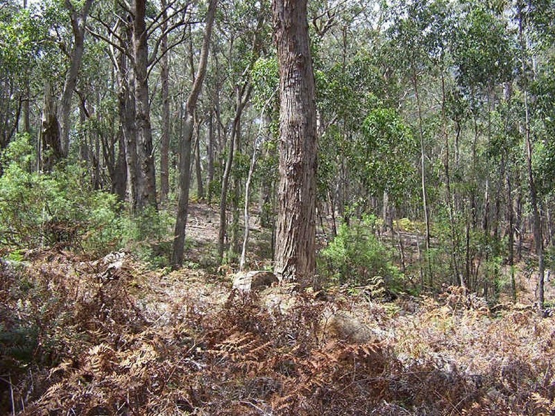 Mares Forest Road, Taralga NSW 2580