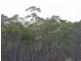 Prtn 140 Wombeyan Caves Road, Taralga NSW 2580