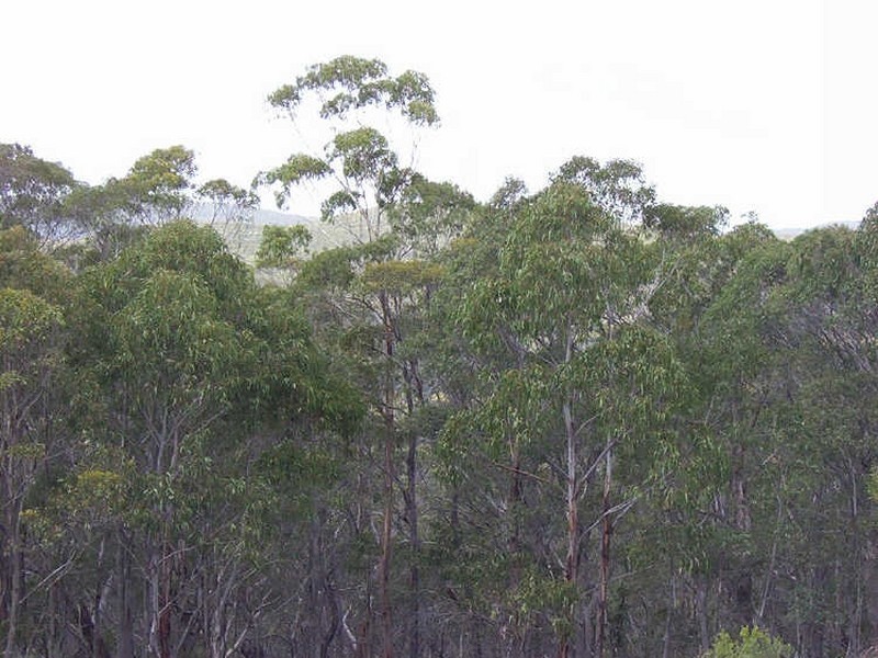 Prtn 140 Wombeyan Caves Road, Taralga NSW 2580