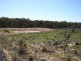 2403 Lumley Road, Lake Bathurst NSW 2580
