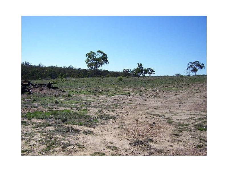 2403 Lumley Road, Lake Bathurst NSW 2580