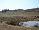 185 Beragoon Lane, Crookwell NSW 2583