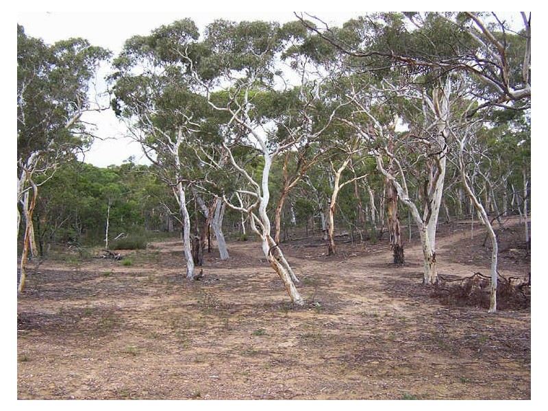 150 Creek Close, Windellama NSW 2580