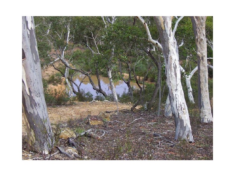 150 Creek Close, Windellama NSW 2580