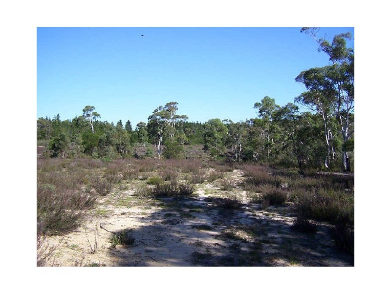 902 Oallen Ford Road, Windellama NSW 2580