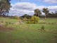 445 Old Wheeo Road, Boorowa NSW 2586