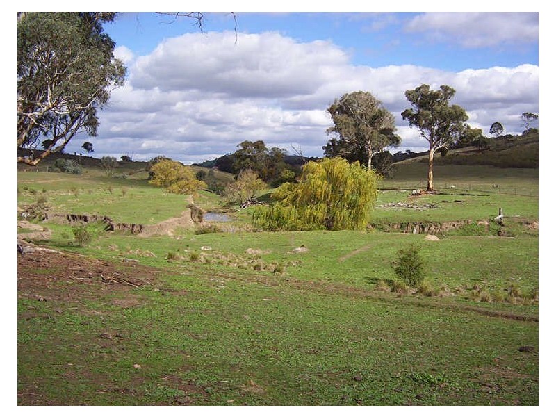 445 Old Wheeo Road, Boorowa NSW 2586