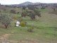 445 Old Wheeo Road, Boorowa NSW 2586