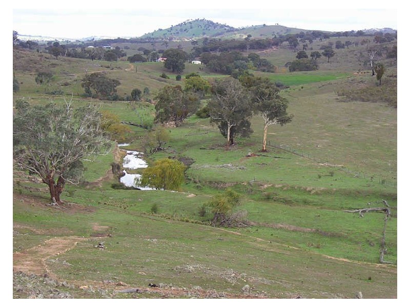 445 Old Wheeo Road, Boorowa NSW 2586