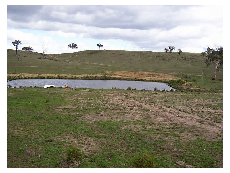 445 Old Wheeo Road, Boorowa NSW 2586