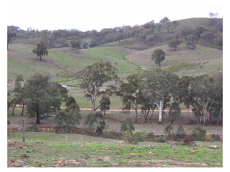 445 Old Wheeo Road, Boorowa NSW 2586