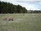 Lot 2 Peelwood Road, Laggan NSW 2583