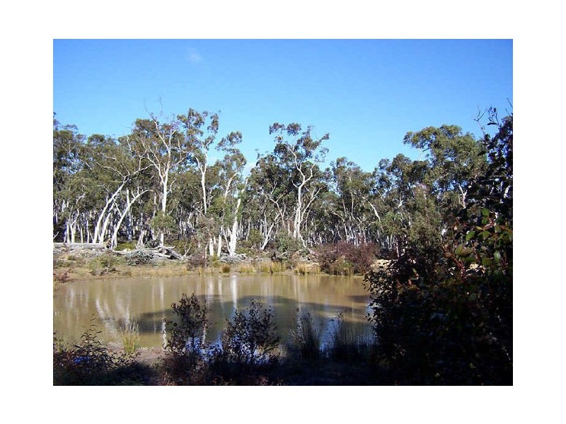 385 Wolgon Road, Windellama NSW 2580