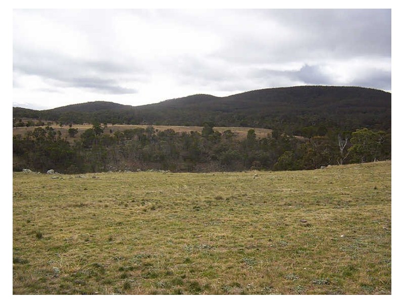 653 Boro Road, Tarago NSW 2580