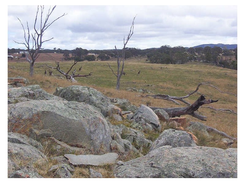 653 Boro Road, Tarago NSW 2580