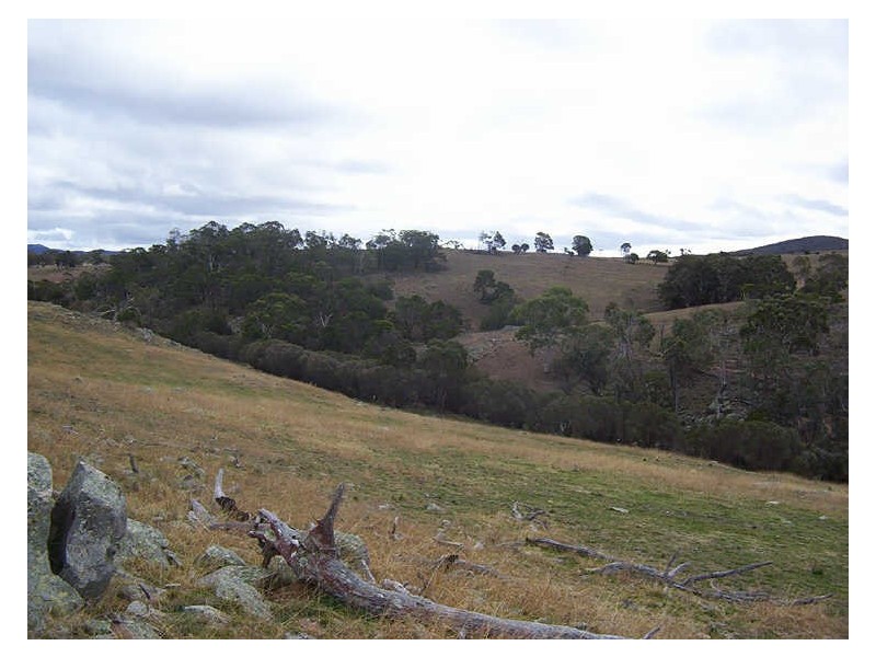 653 Boro Road, Tarago NSW 2580