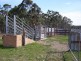 1198 Cullulla Road ‘Happy Hills’, Tarago NSW 2580