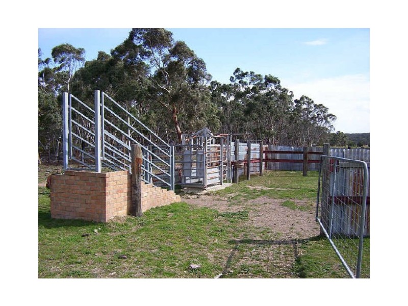 1198 Cullulla Road ‘Happy Hills’, Tarago NSW 2580