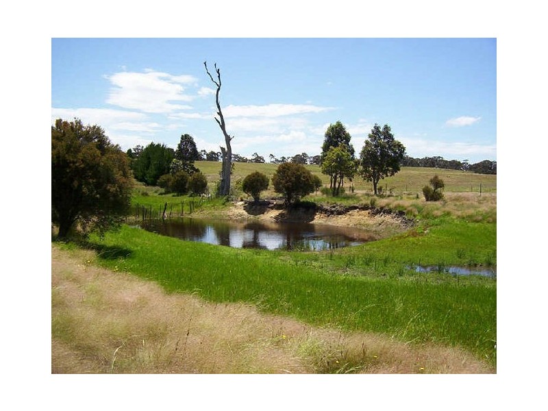 1198 Cullulla Road ‘Happy Hills’, Tarago NSW 2580