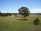 1198 Cullulla Road ‘Happy Hills’, Tarago NSW 2580