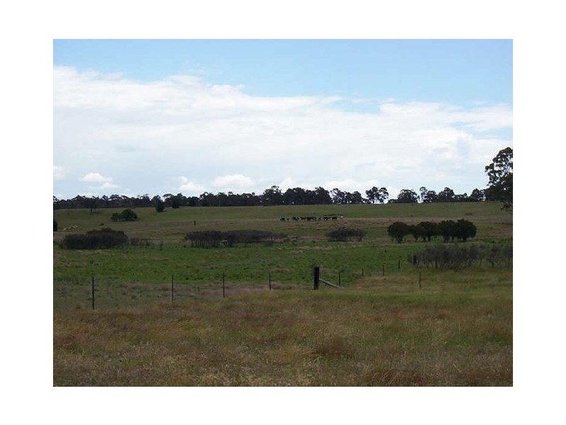 1198 Cullulla Road ‘Happy Hills’, Tarago NSW 2580