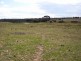 1198 Cullulla Road ‘Happy Hills’, Tarago NSW 2580