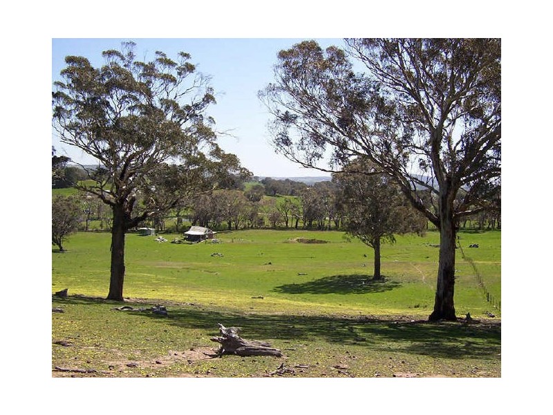 Lot 169 Edward/Suffolk St Cnr “CLEARYS”, Binda NSW 2583