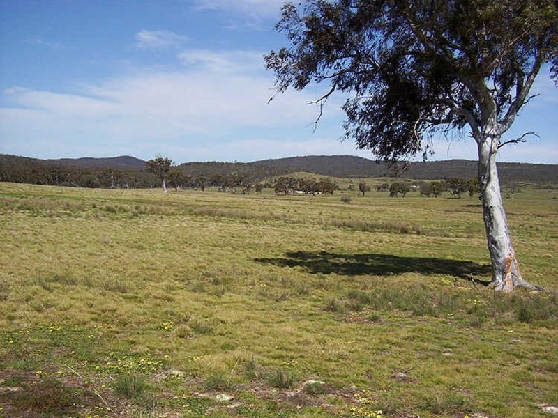 177 Lillyvale Road – Lillyvale Estate, Tarago NSW 2580