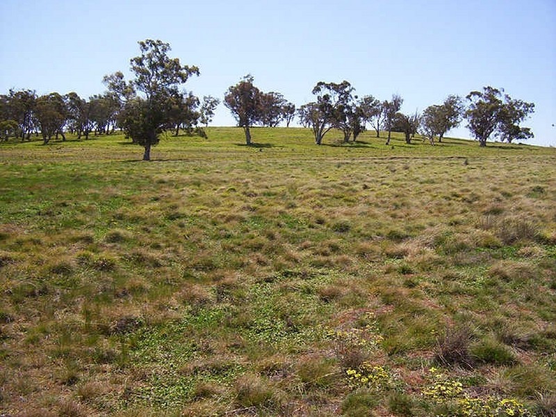 177 Lillyvale Road – Lillyvale Estate, Tarago NSW 2580