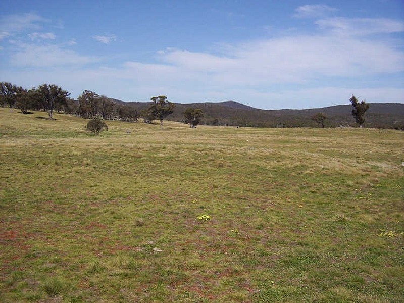 177 Lillyvale Road – Lillyvale Estate, Tarago NSW 2580