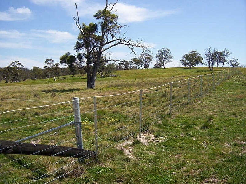 177 Lillyvale Road – Lillyvale Estate, Tarago NSW 2580