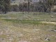 Lot 2 Crookwell Road, Bigga NSW 2583