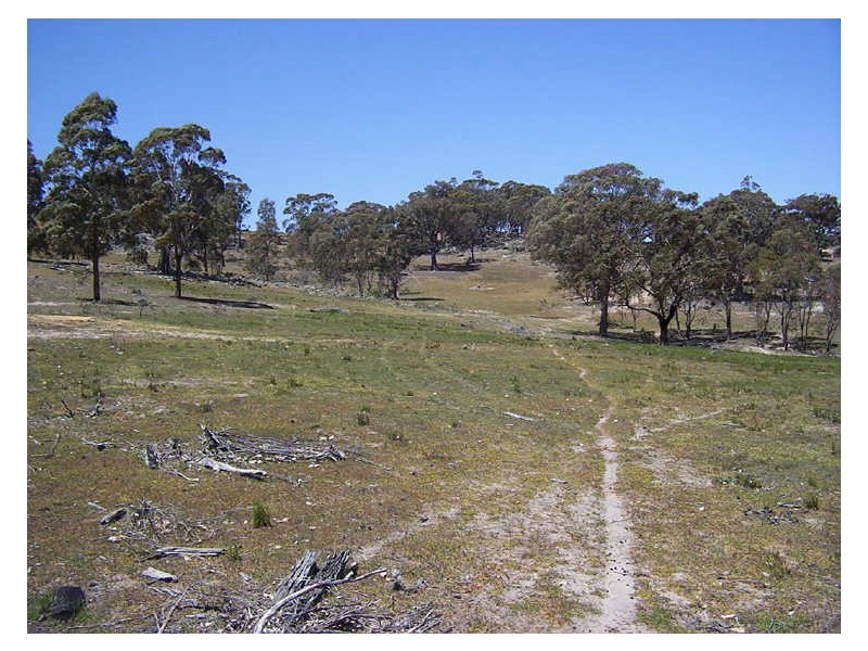 Lot 2 Crookwell Road, Bigga NSW 2583