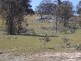 Lot 2 Crookwell Road, Bigga NSW 2583