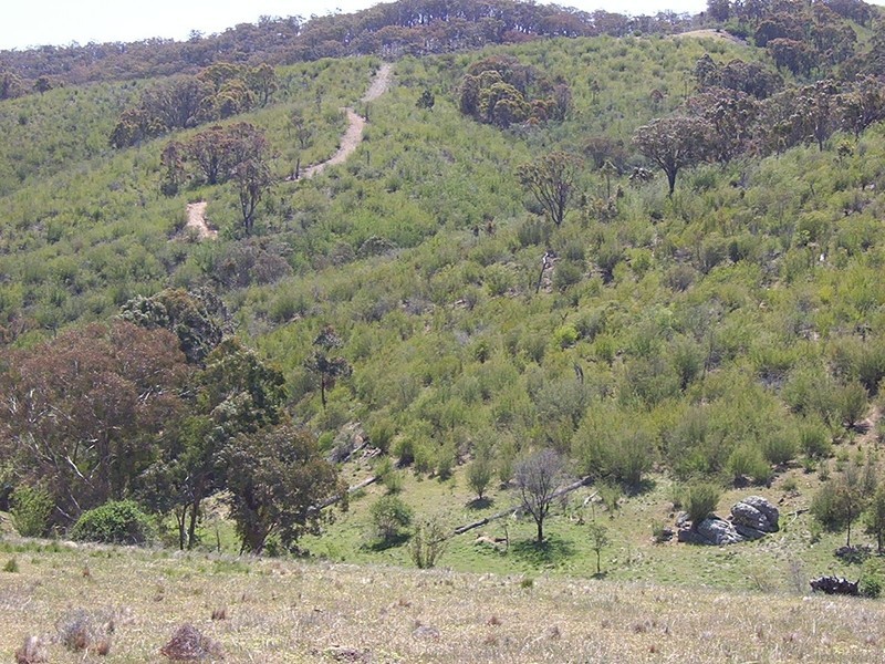 Whick Whack Road Lots 16-17-20-25-40-41, Bigga NSW 2583