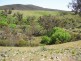 Whick Whack Road Lots 16-17-20-25-40-41, Bigga NSW 2583