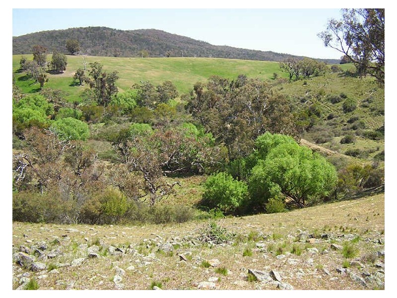 Whick Whack Road Lots 16-17-20-25-40-41, Bigga NSW 2583