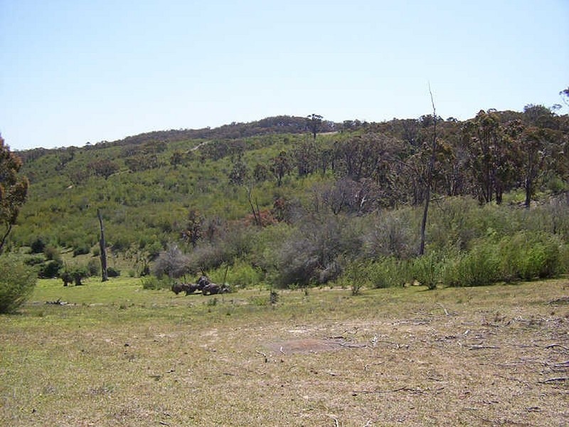 Whick Whack Road Lots 16-17-20-25-40-41, Bigga NSW 2583