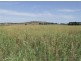 3159 Lumley Road, Tarago NSW 2580