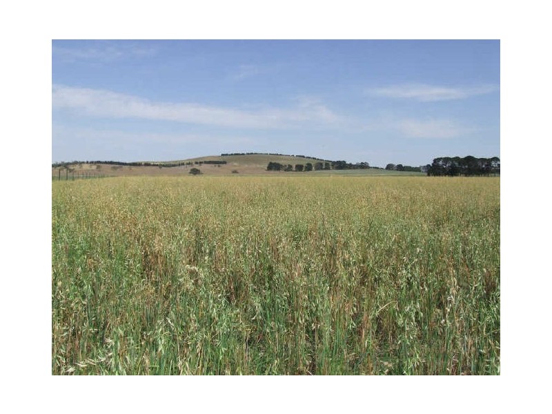 3159 Lumley Road, Tarago NSW 2580