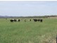 3159 Lumley Road, Tarago NSW 2580
