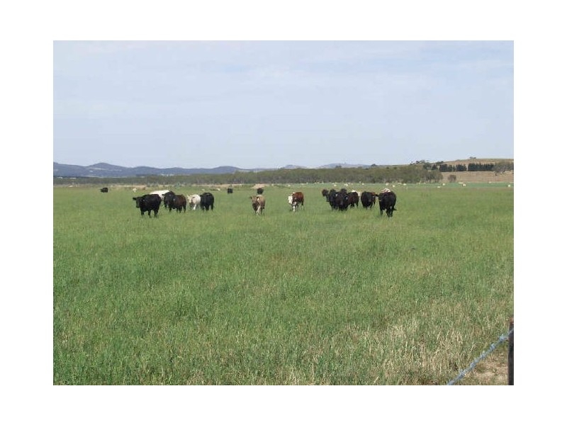 3159 Lumley Road, Tarago NSW 2580